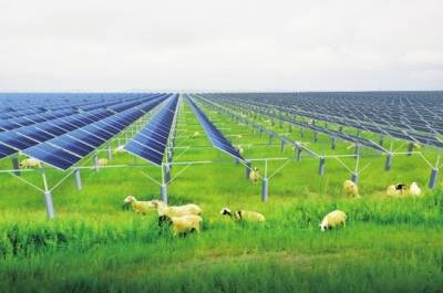 当 AI 遇上储能：不是跨界，是重构未来能源的野心